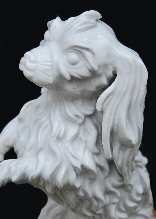 Alternative view of Meißen um 1750 Bologneser Hund Porzellan Johann Joachim Kaendler