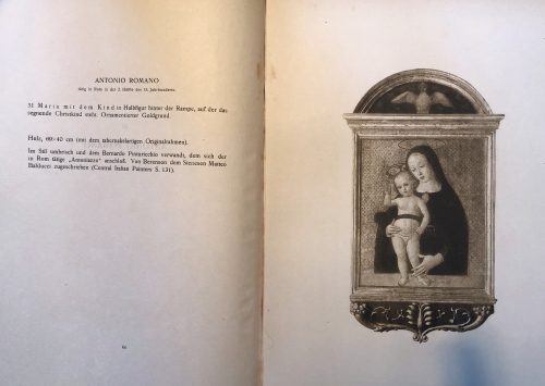 Matteo Balducci 1509-1554 Madonna