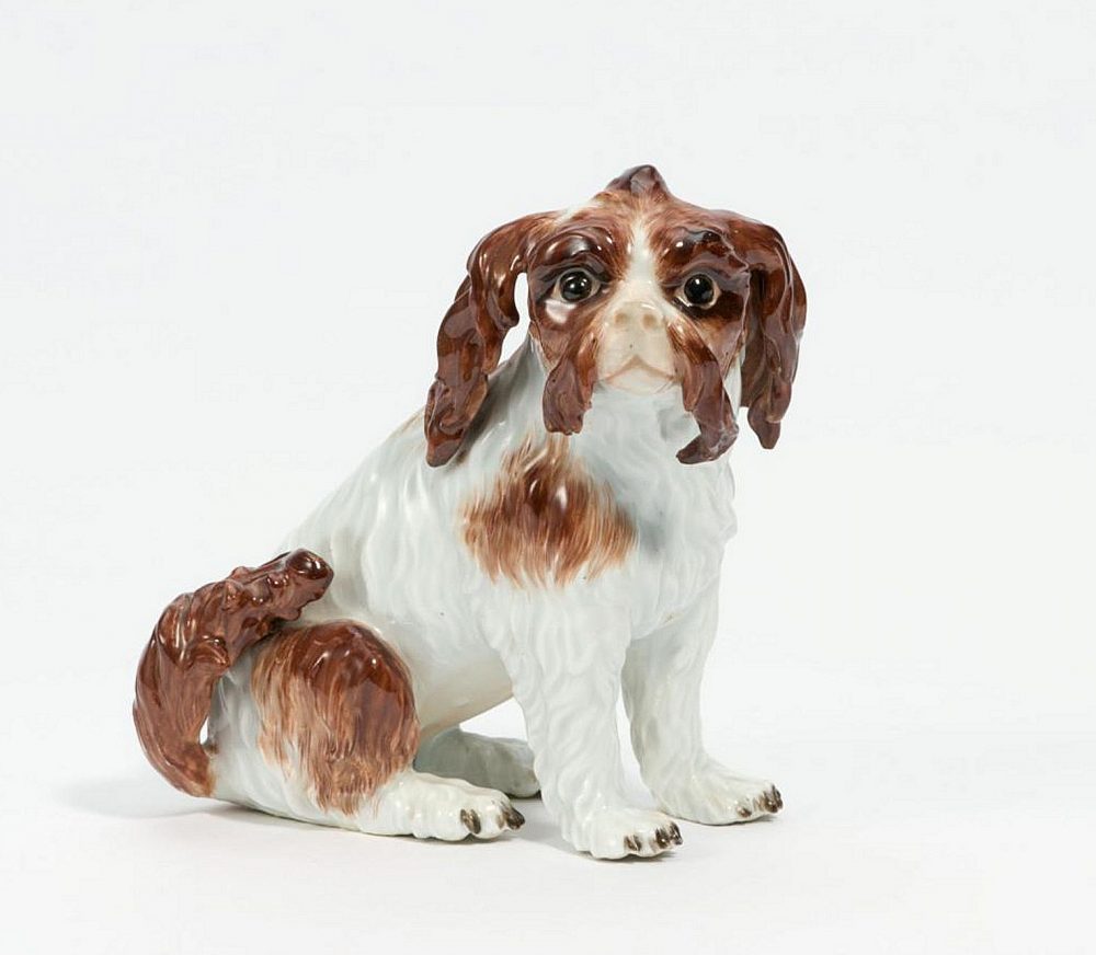 Meissen Porzellan Bologneserhund Hund Bologneser Hund Modell von Johann Joachim Kaendler um 1750  H. 15 cm