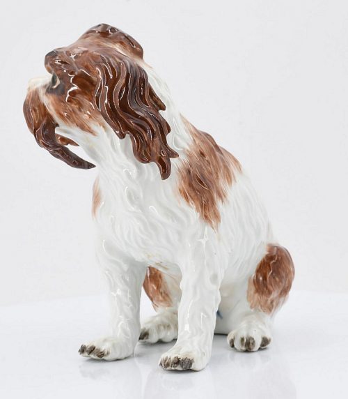 Meissen Porzellan Bologneserhund Hund Bologneser Hund Modell von Johann Joachim Kaendler um 1750 H. 15 cm
