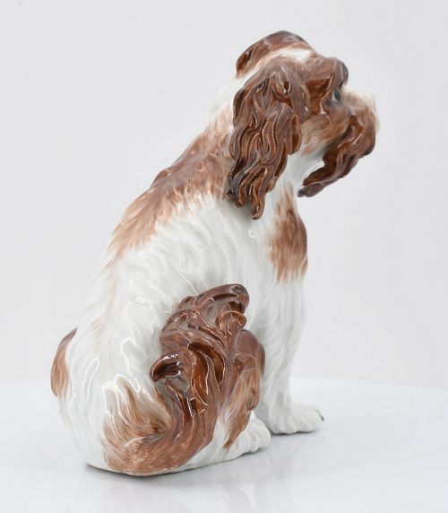Meissen Porzellan Bologneserhund Hund Bologneser Hund Modell von Johann Joachim Kaendler um 1750 H. 15 cm
